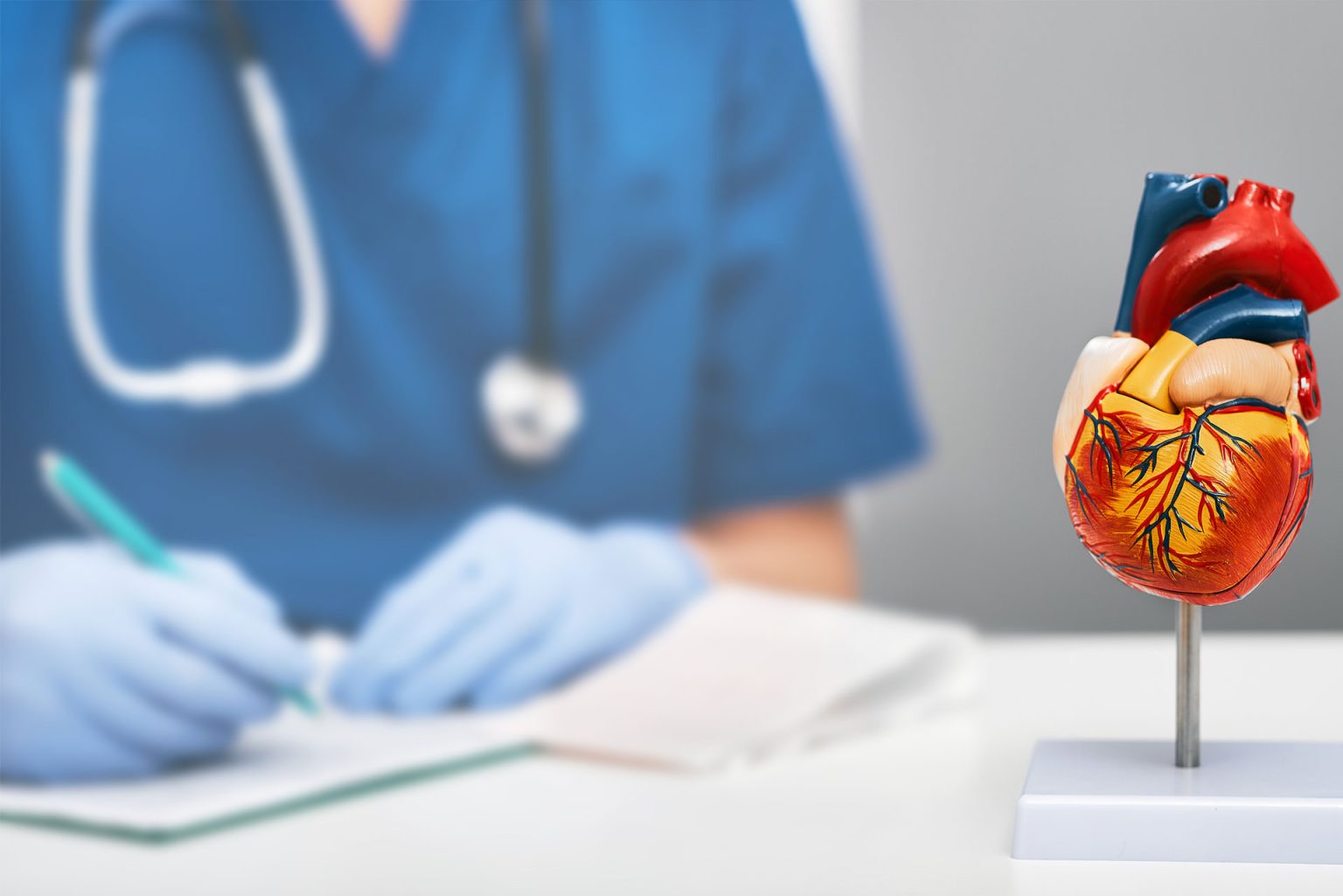 Cardiac Catheterization (Stents) Southern Utah Cardiology Procedure